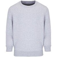 Свитшот детский Columbia Kids, серый меланж