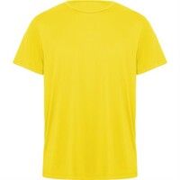 Спортивная футболка DAYTONA унисекс, ЖЕЛТЫЙ 3XL
