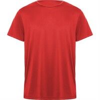Спортивная футболка DAYTONA унисекс, КРАСНЫЙ 3XL