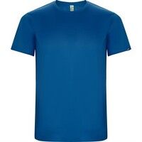 Спортивная футболка IMOLA мужская, КОРОЛЕВСКИЙ СИНИЙ 3XL