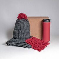 Набор подарочный COLD NIGHT: шарф и шапка, термокружка; красный